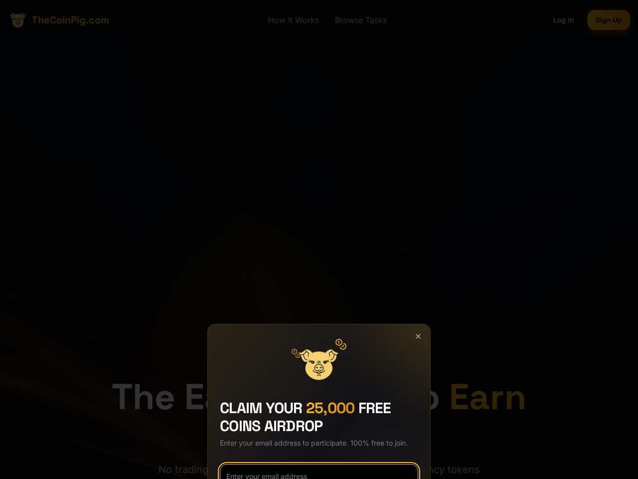 TheCoinPig.com review illustration
